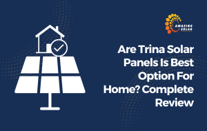 "Trina Solar Panels: Best Home Option? Review"