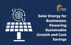 Solar Energy for Business Growth