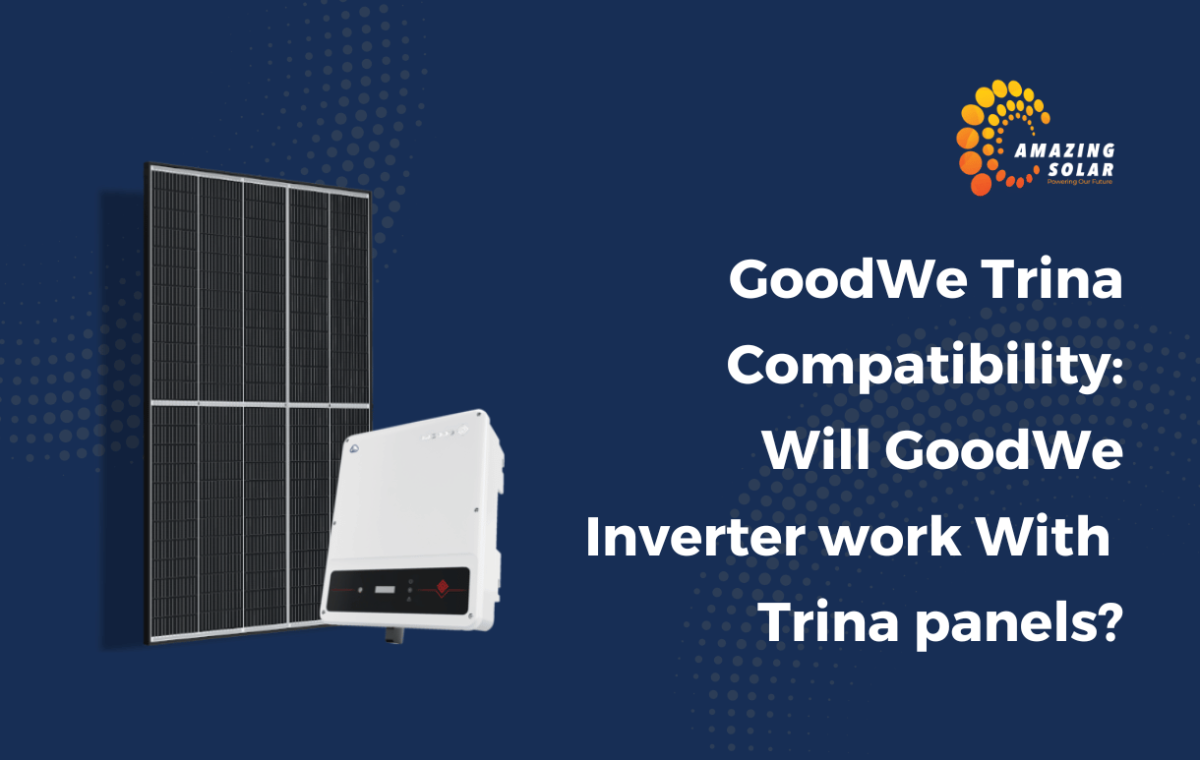 Will GoodWe Inverter work With Trina panels.