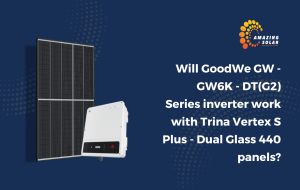 GoodWe GW6K Inverter and Trina Vertex S Plus