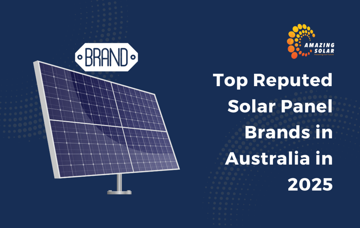 Best solar panels for homes 2025